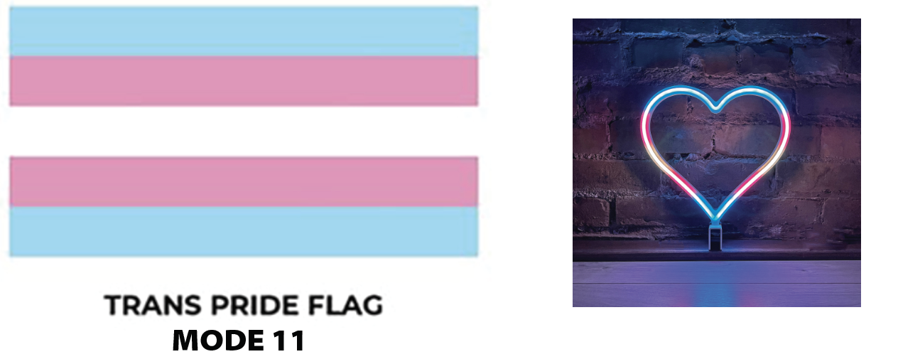 Trans Flag and Heart